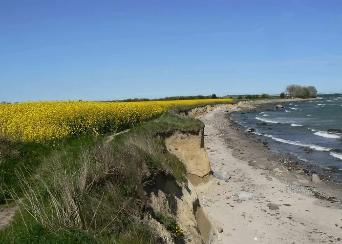 Apartment Strandperle 2 - A69722